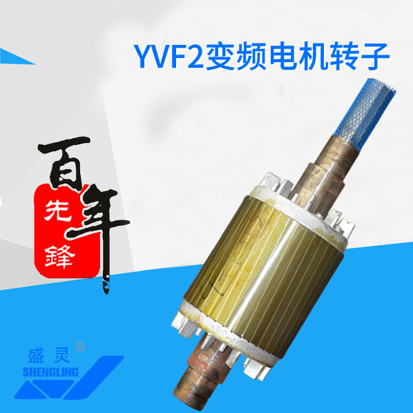 YVF2變頻電機轉(zhuǎn)子_YVF2變頻電機轉(zhuǎn)子生產(chǎn)廠家_YVF2變頻電機轉(zhuǎn)子直銷_維修-先鋒電機